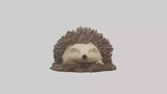 Sleeping Hedgehog Model