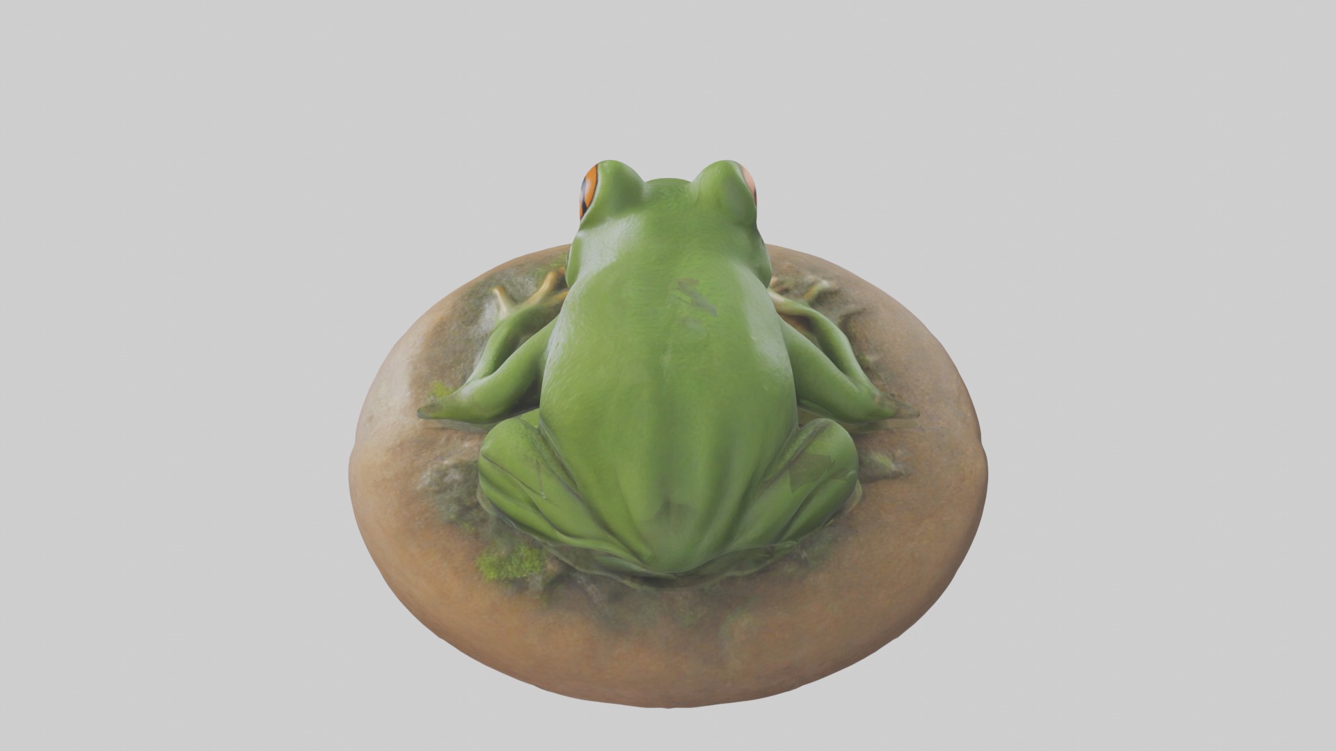 Sleeping Frog Model Low-poly 3D model_11