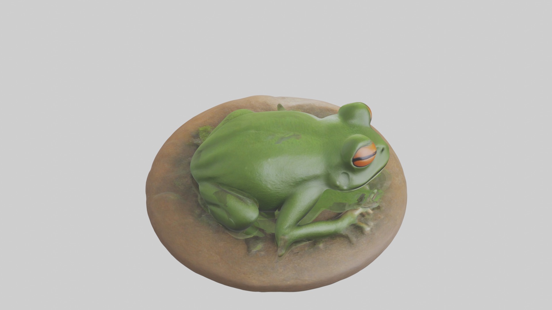 Sleeping Frog Model Low-poly 3D model_9