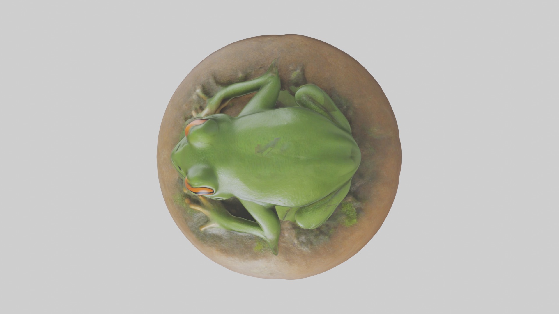 Sleeping Frog Model Low-poly 3D model_8