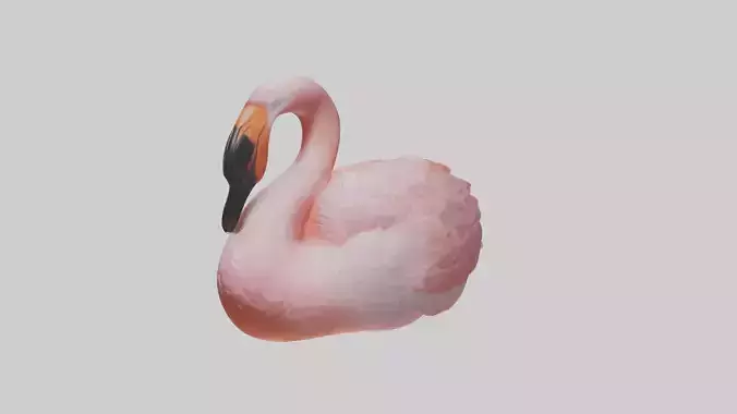Sleeping Flamingo Model
