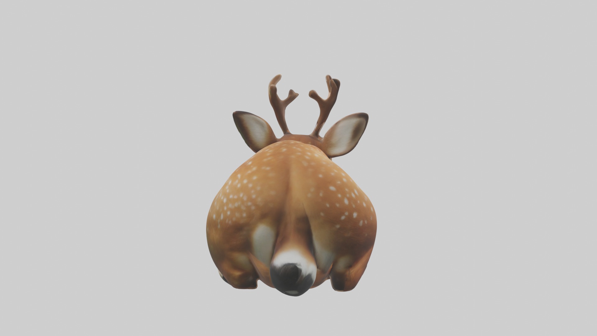 Sleeping Deer Model Low-poly 3D model_3