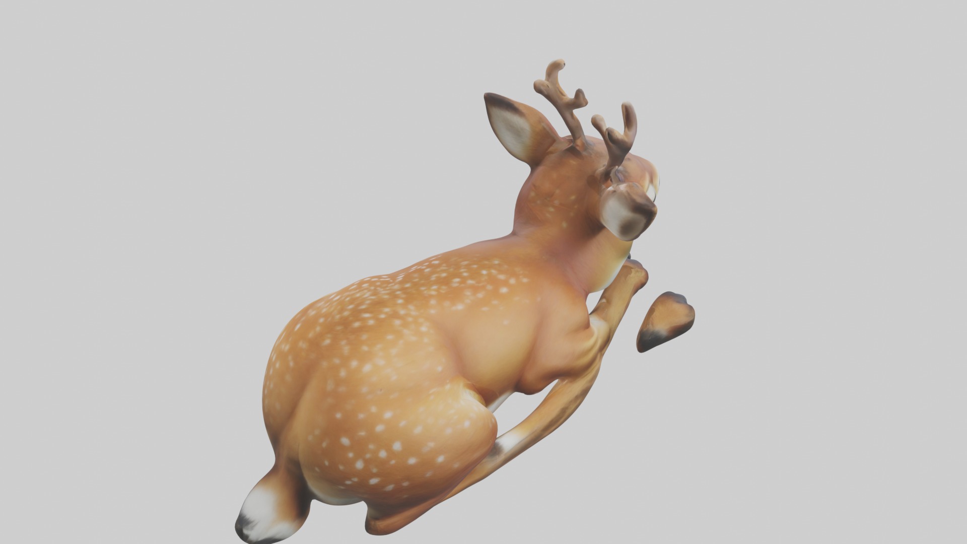 Sleeping Deer Model Low-poly 3D model_9