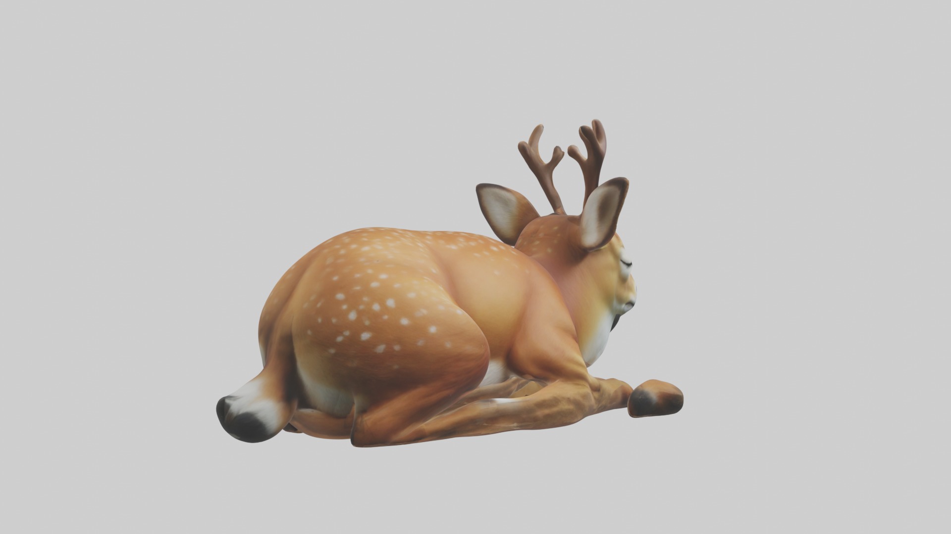 Sleeping Deer Model Low-poly 3D model_2