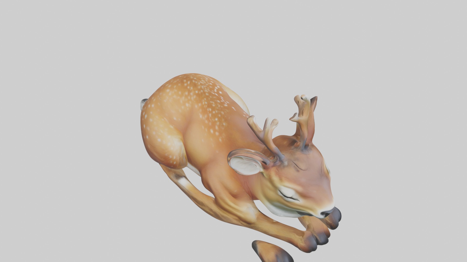 Sleeping Deer Model Low-poly 3D model_12