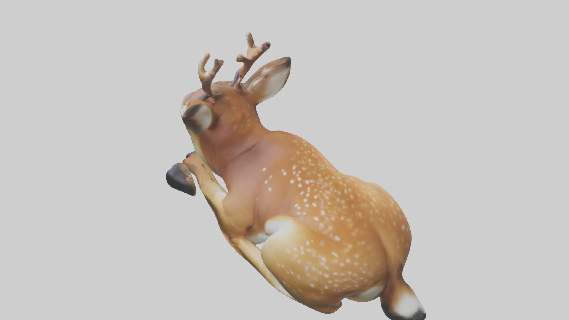 Sleeping Deer Model Low-poly 3D model_11