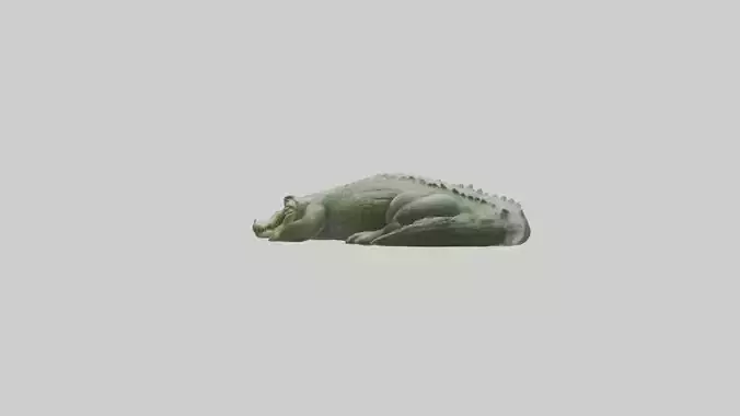 Sleeping Crocodile Model
