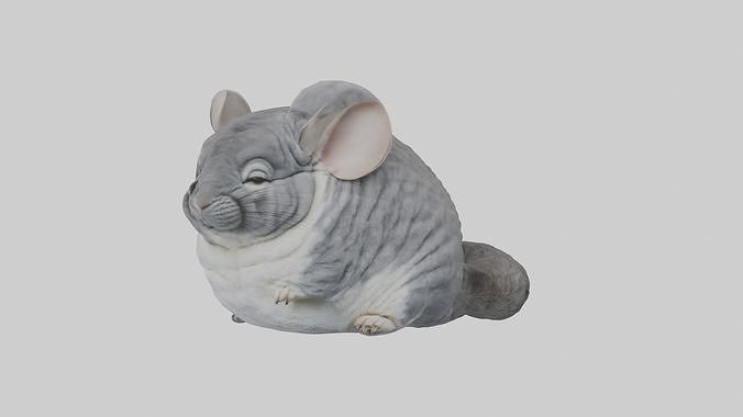 Sleeping Chinchilla Model Low-poly 3D model