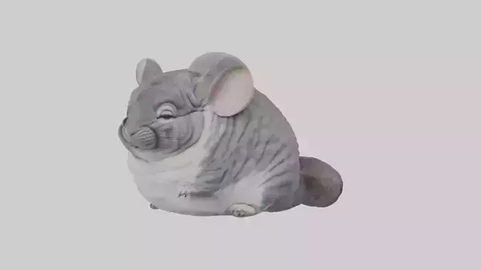 Sleeping Chinchilla Model Low-poly 3D model