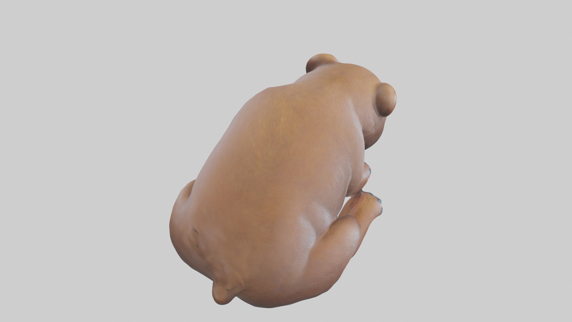 Sleeping Bear Model Low-poly 3D model_12