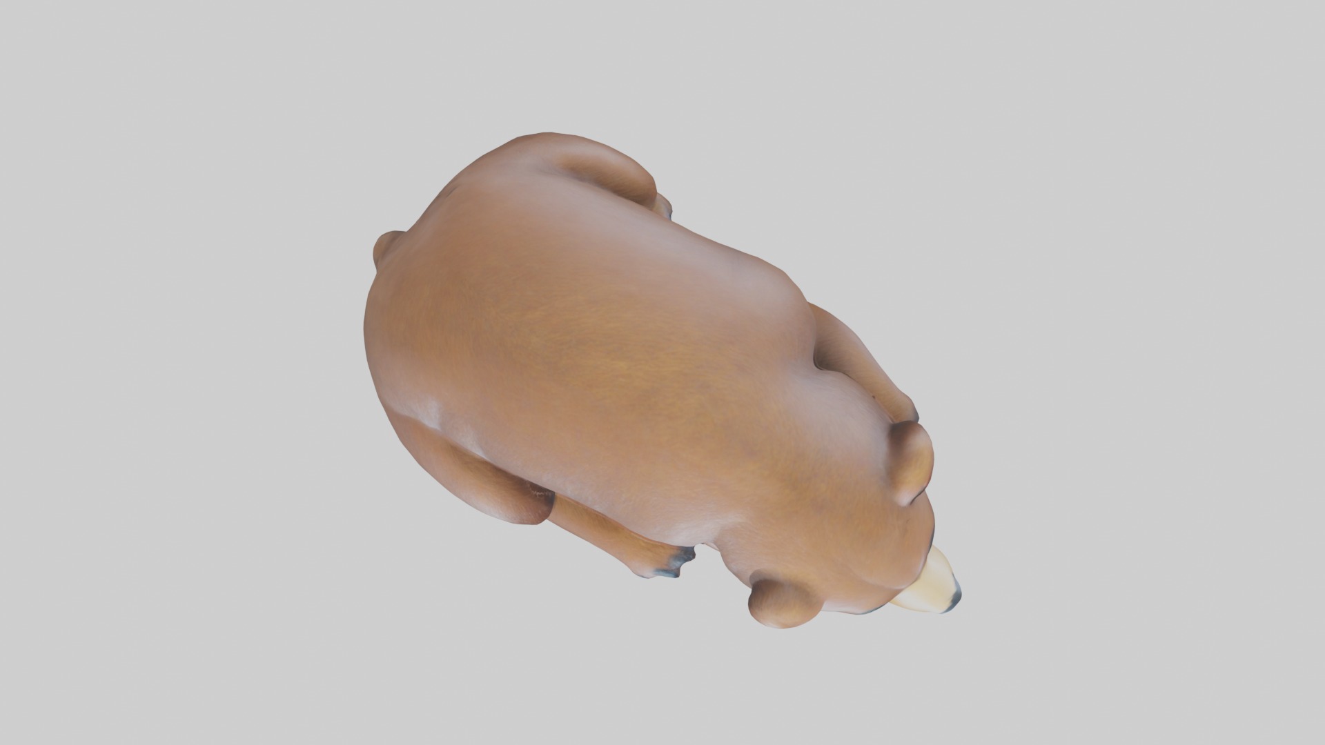 Sleeping Bear Model Low-poly 3D model_8