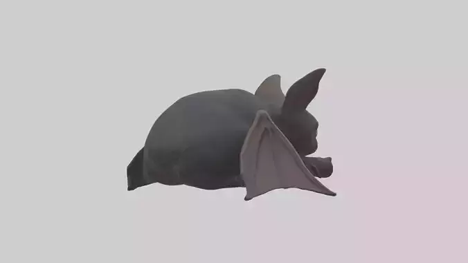 Sleeping Bat Model