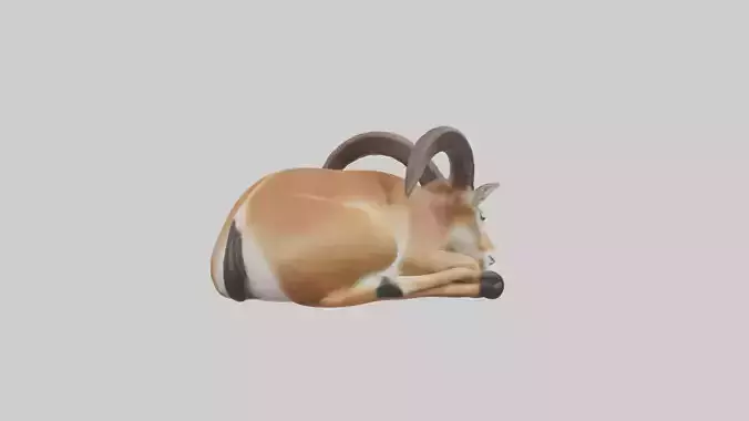 Sleeping Antelope Model