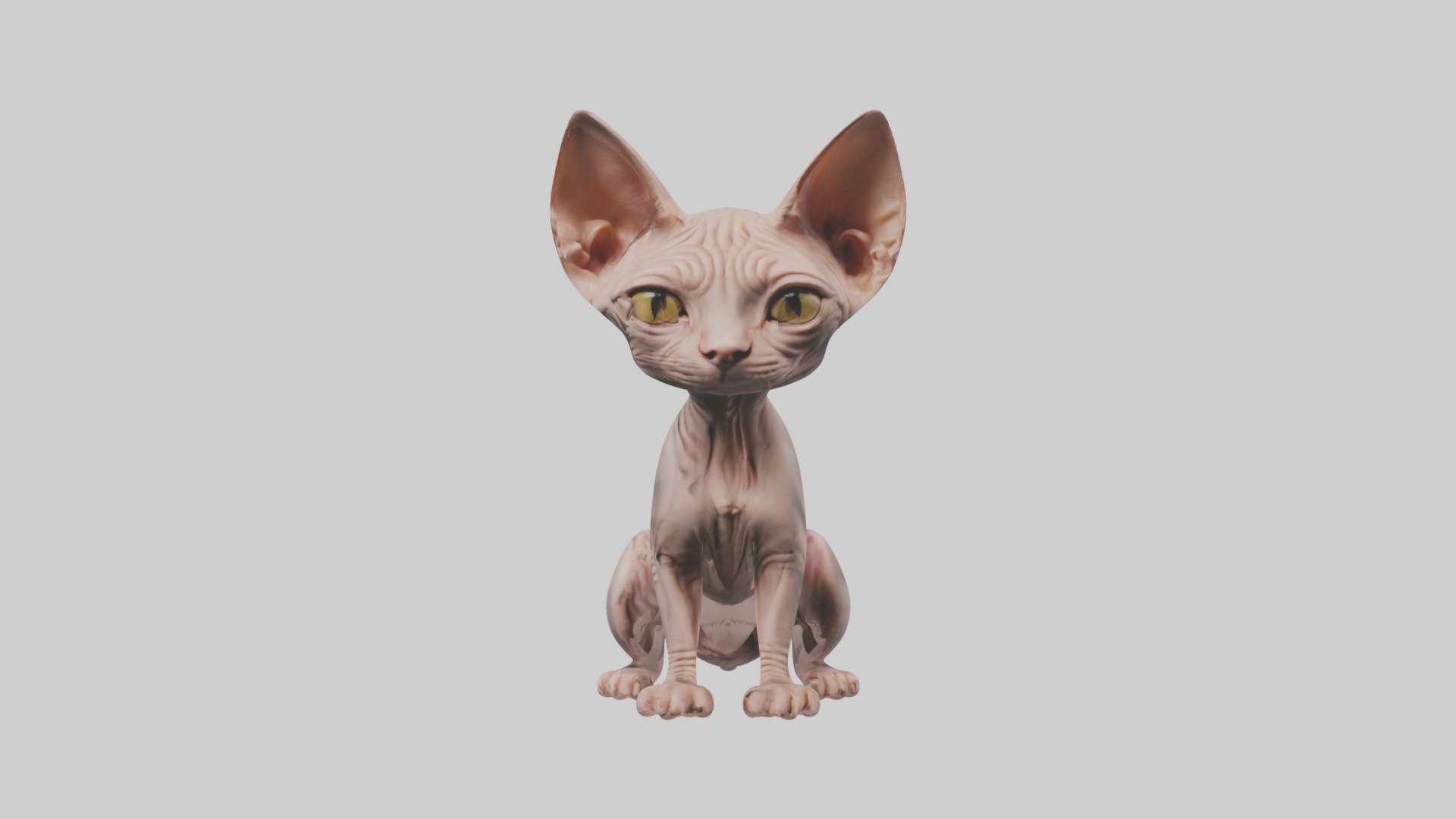 Sitting Sphynx Cat model Low-poly 3D model_6