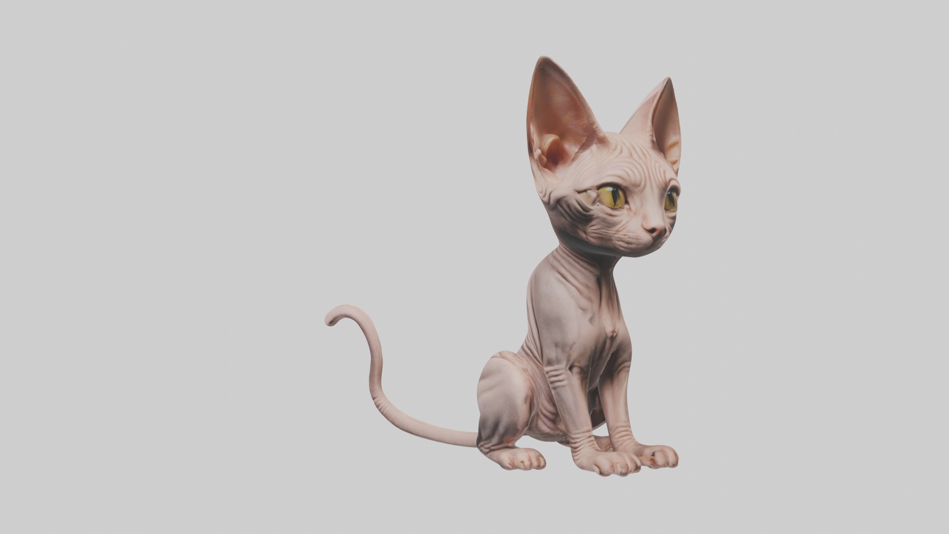 Sitting Sphynx Cat model Low-poly 3D model_4