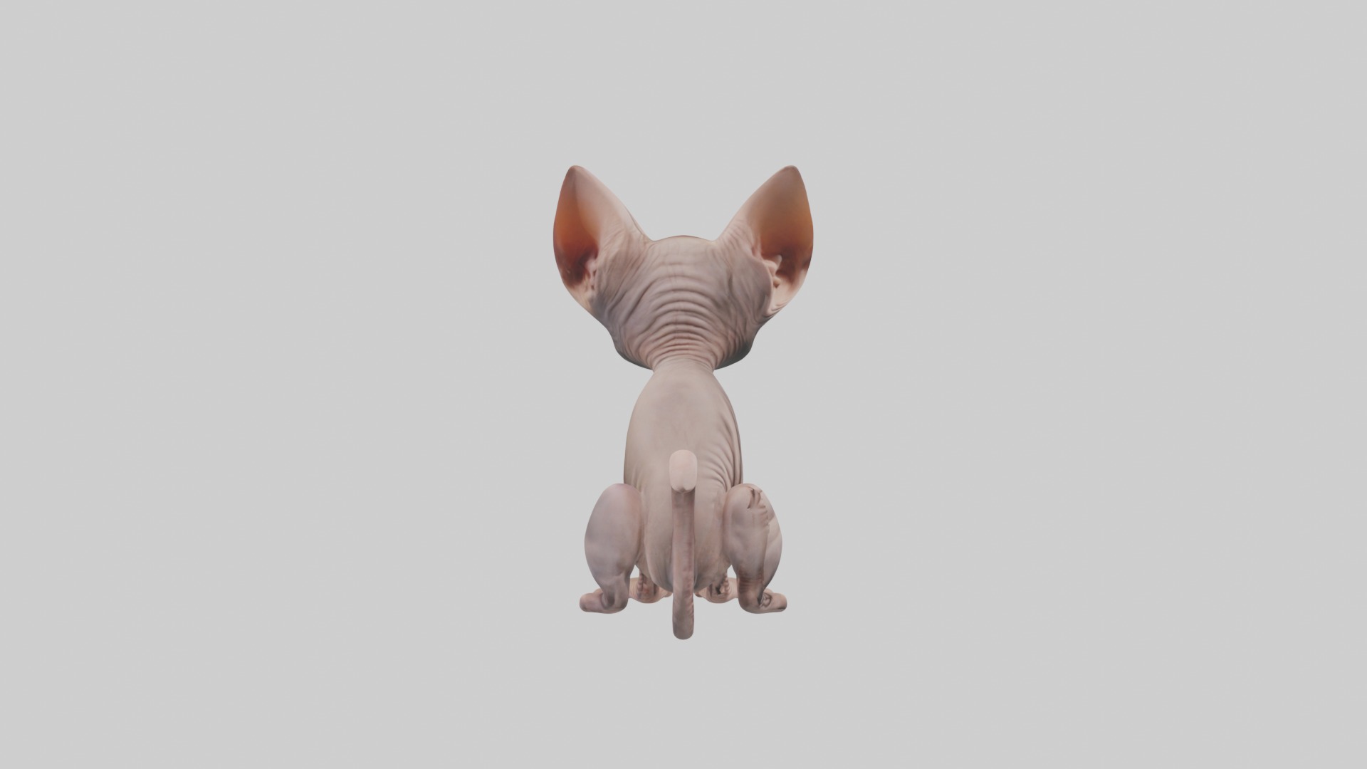 Sitting Sphynx Cat model Low-poly 3D model_7