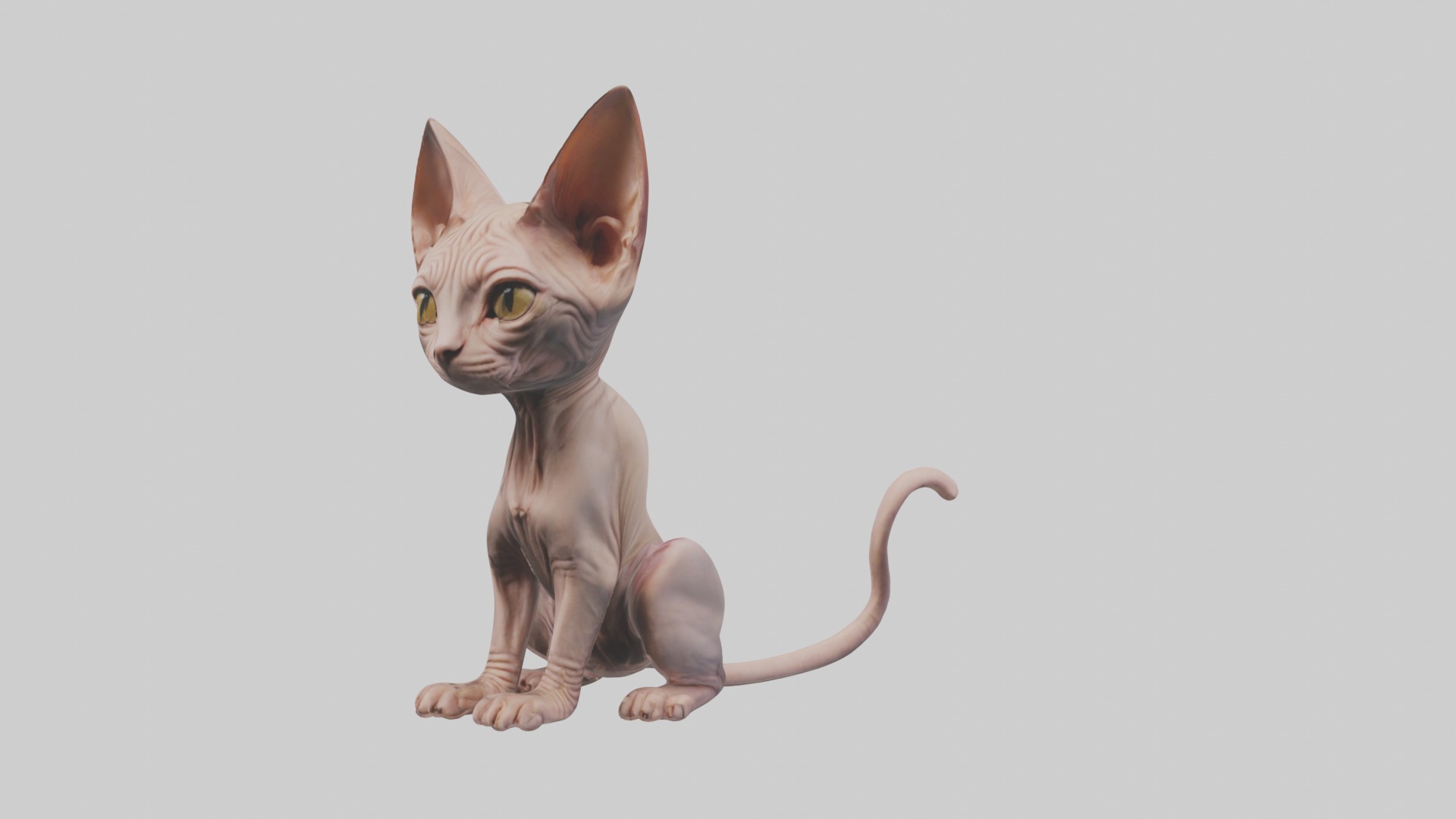 Sitting Sphynx Cat model Low-poly 3D model_1