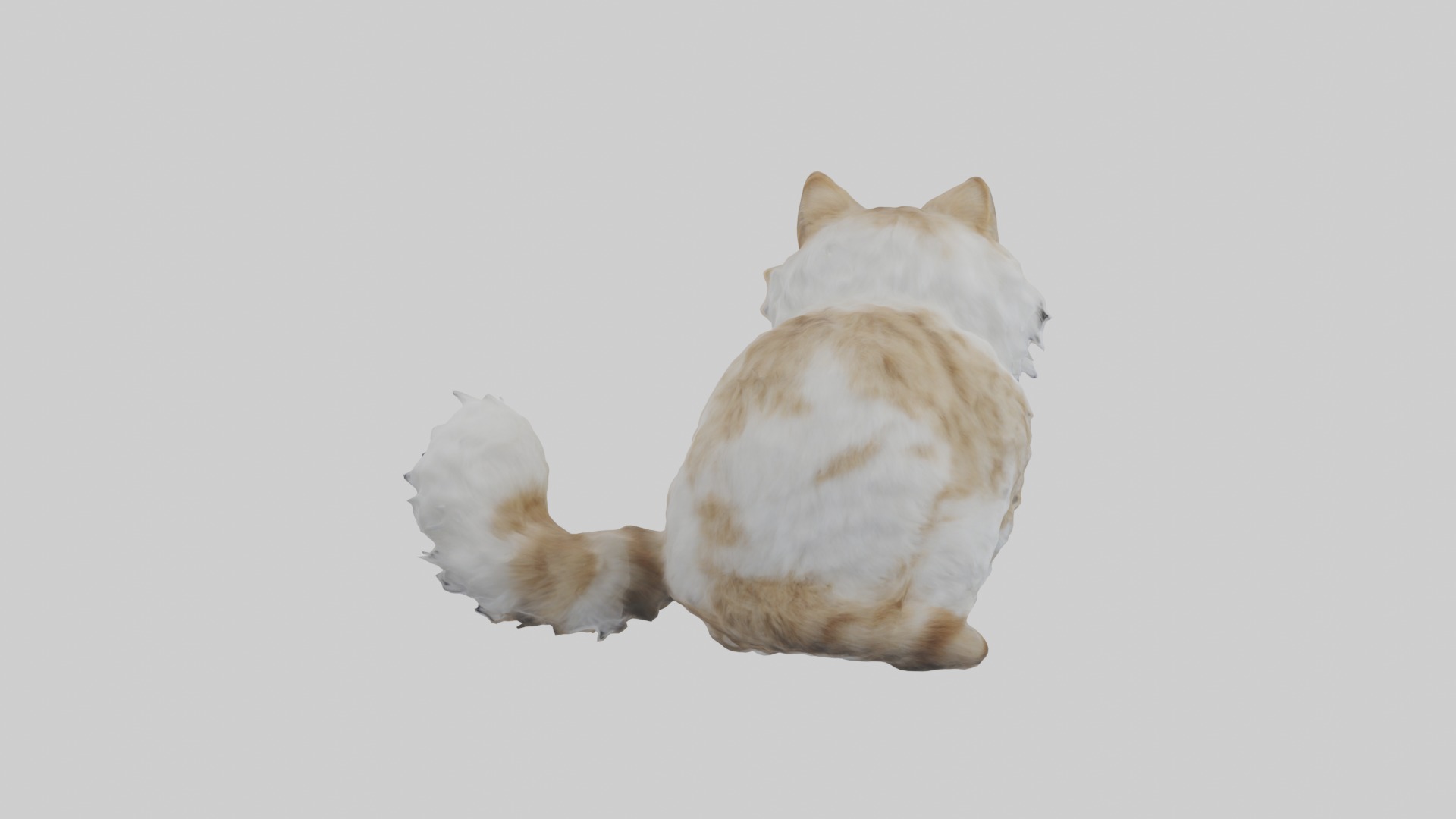Sitting Siberian Cat model Low-poly 3D model_2
