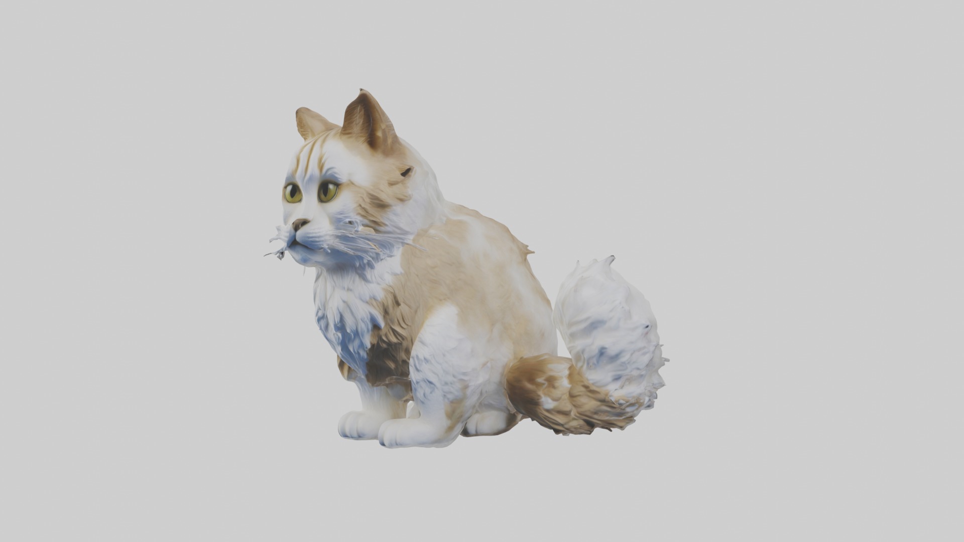 Sitting Siberian Cat model Low-poly 3D model_5