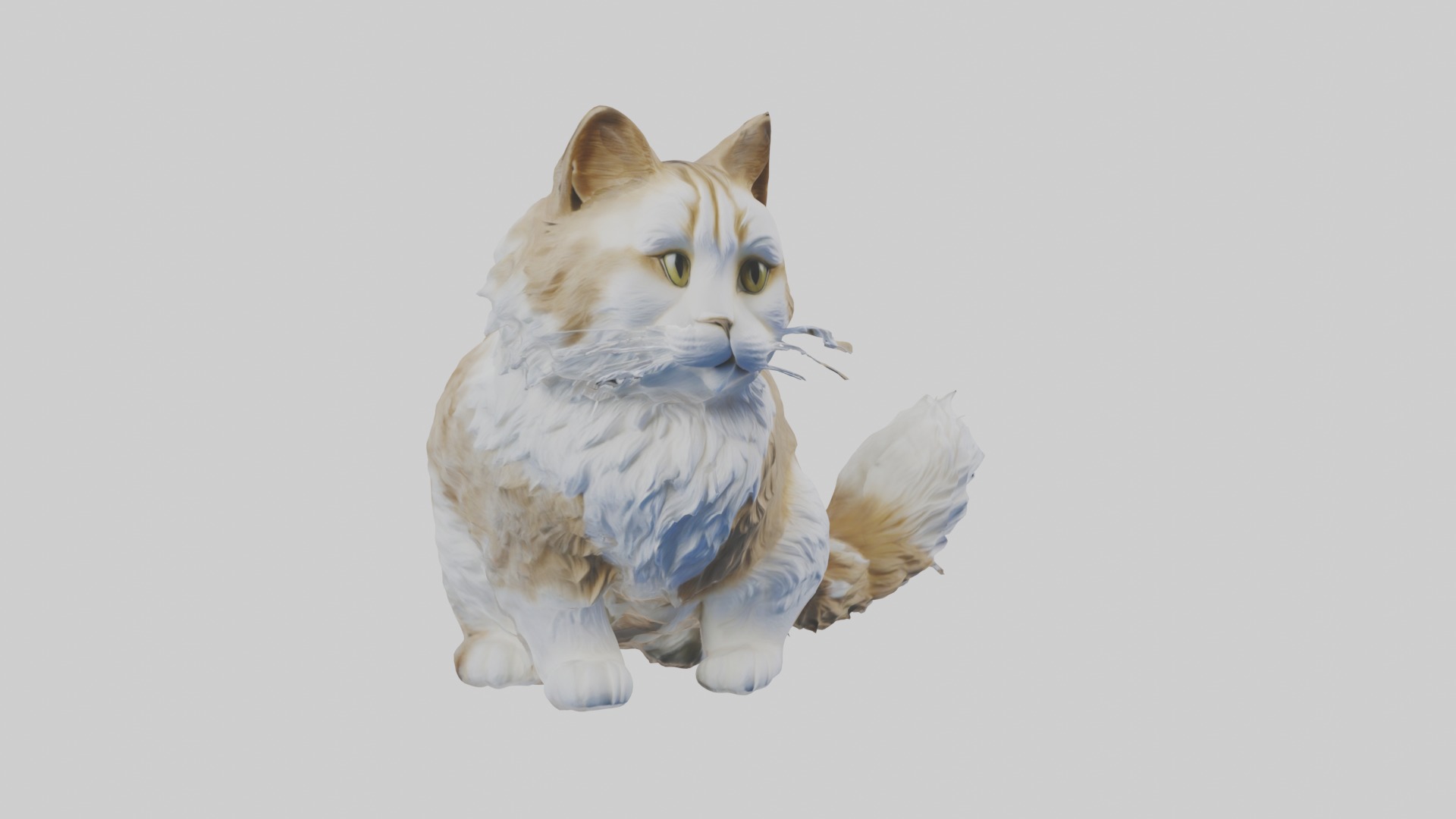 Sitting Siberian Cat model Low-poly 3D model_1