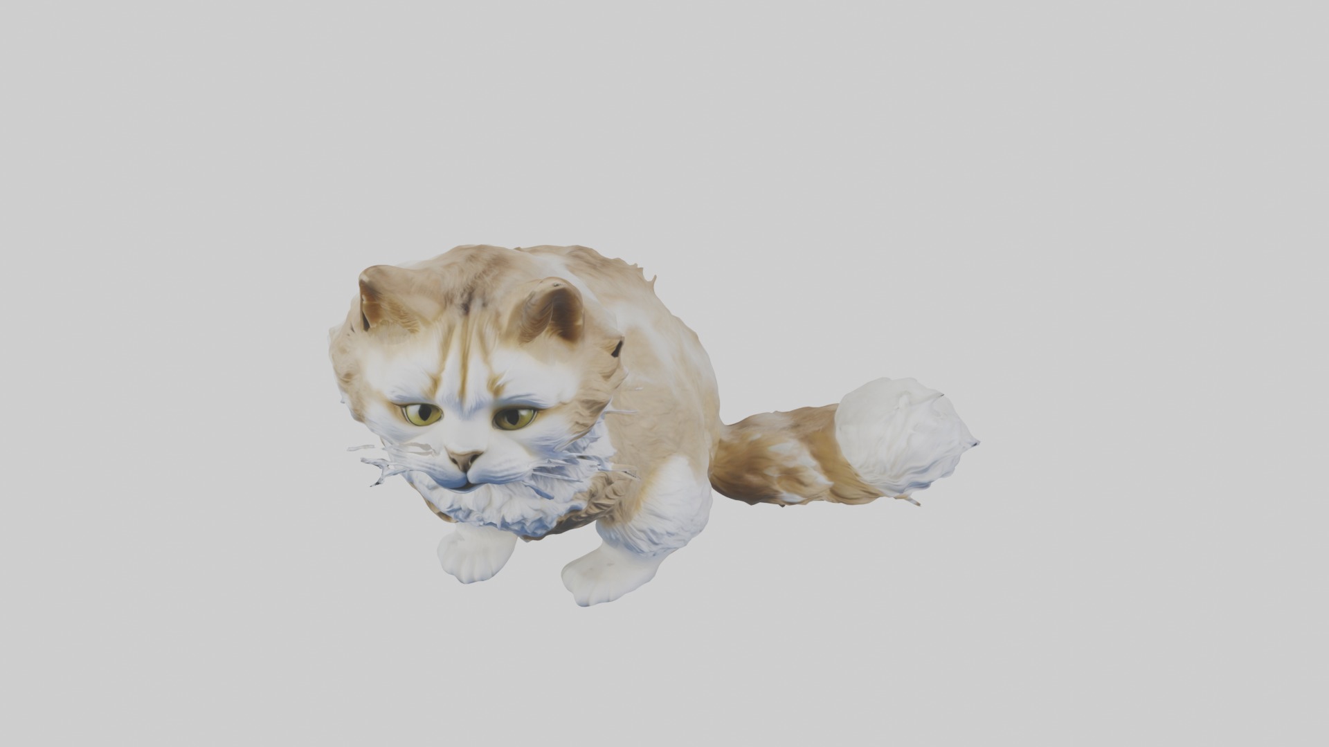 Sitting Siberian Cat model Low-poly 3D model_10