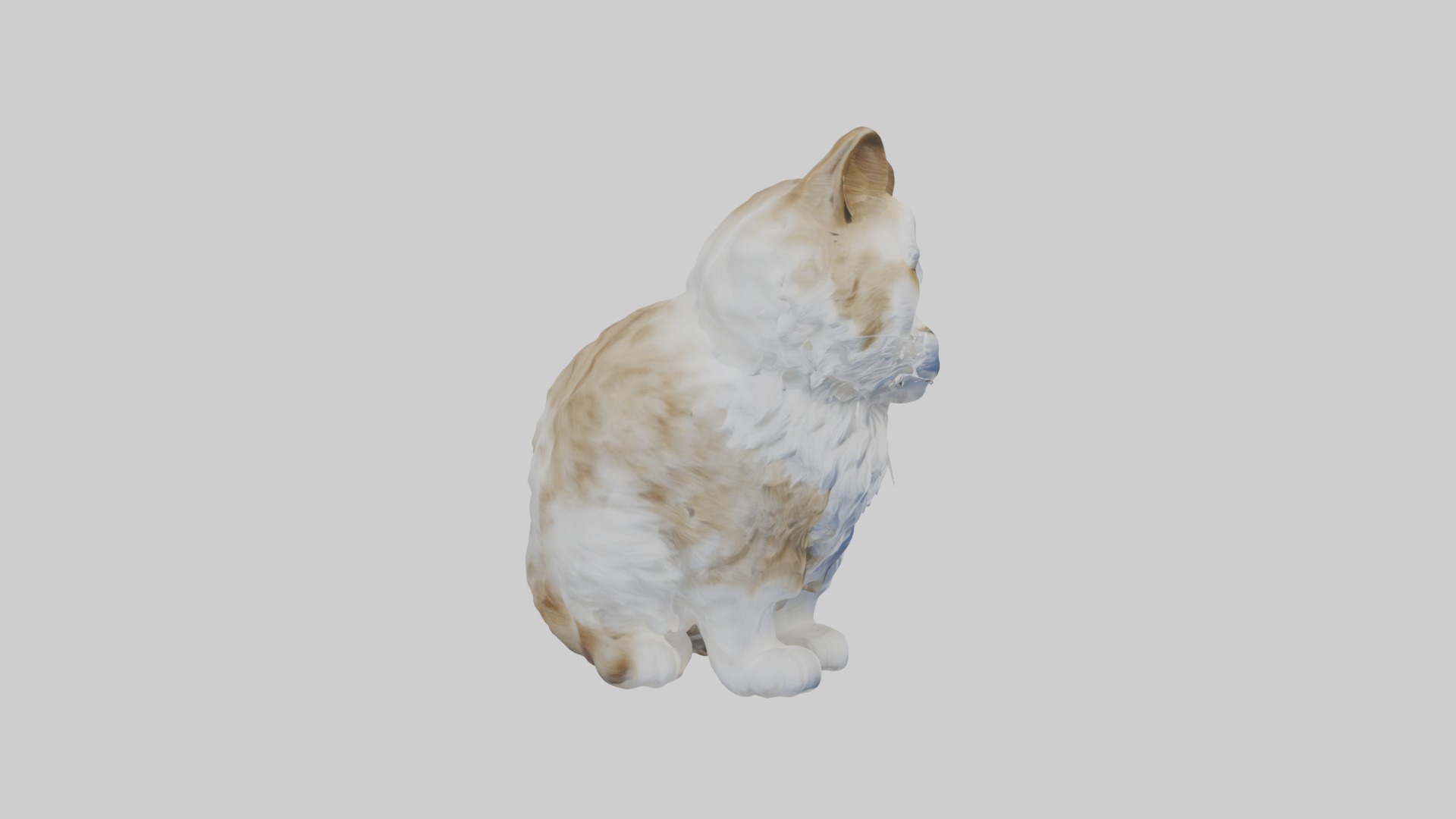 Sitting Siberian Cat model Low-poly 3D model_7