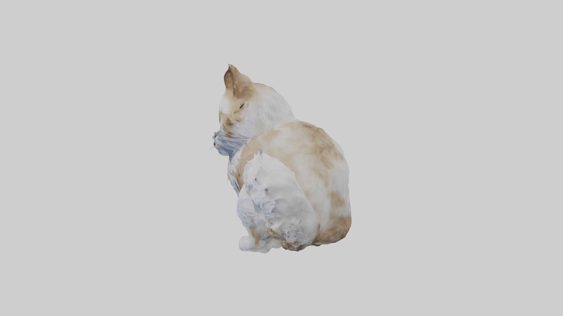 Sitting Siberian Cat model Low-poly 3D model_6