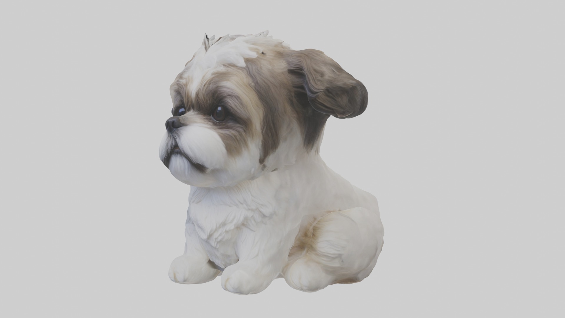 Sitting Shih Tzu model Low-poly 3D model_1