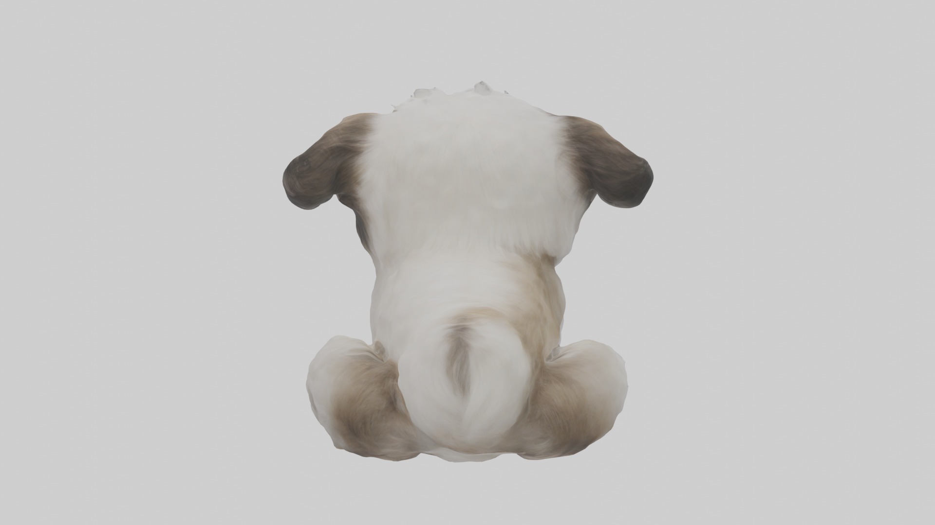Sitting Shih Tzu model Low-poly 3D model_2
