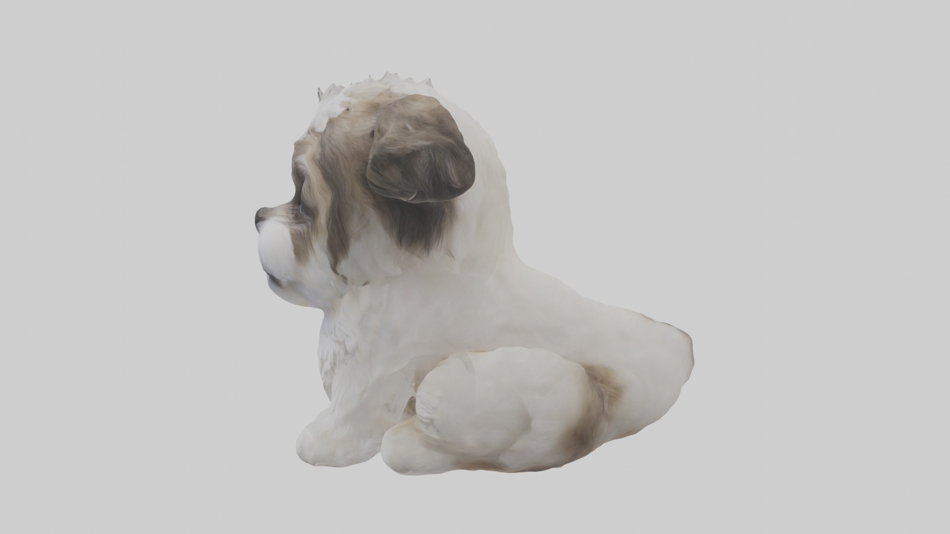 Sitting Shih Tzu model Low-poly 3D model_6