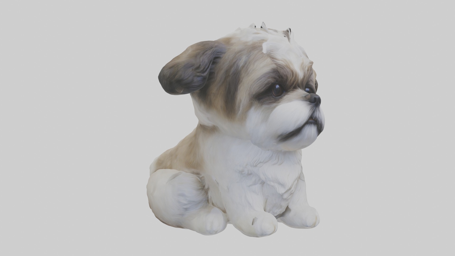 Sitting Shih Tzu model Low-poly 3D model_5
