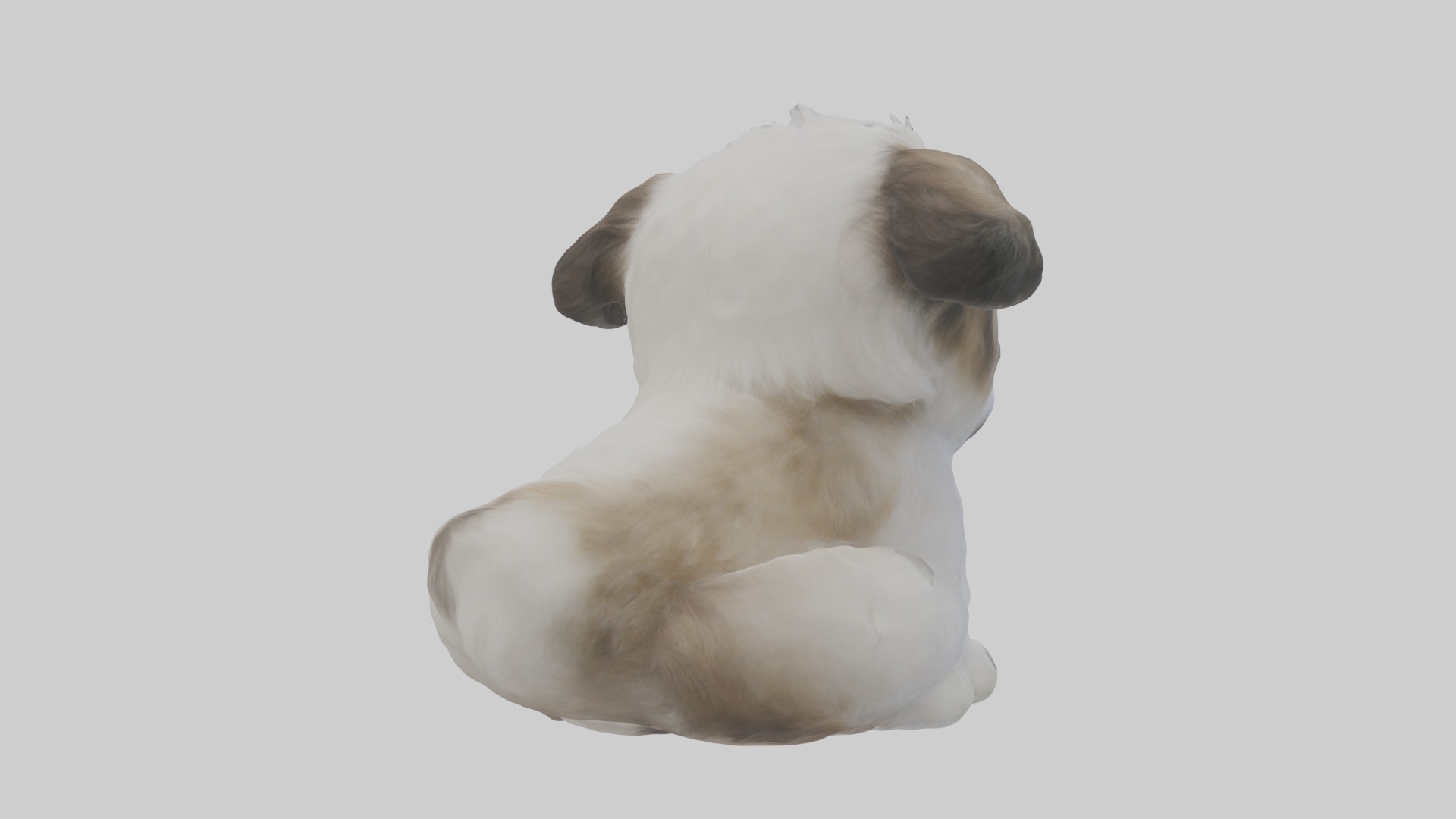 Sitting Shih Tzu model Low-poly 3D model_4