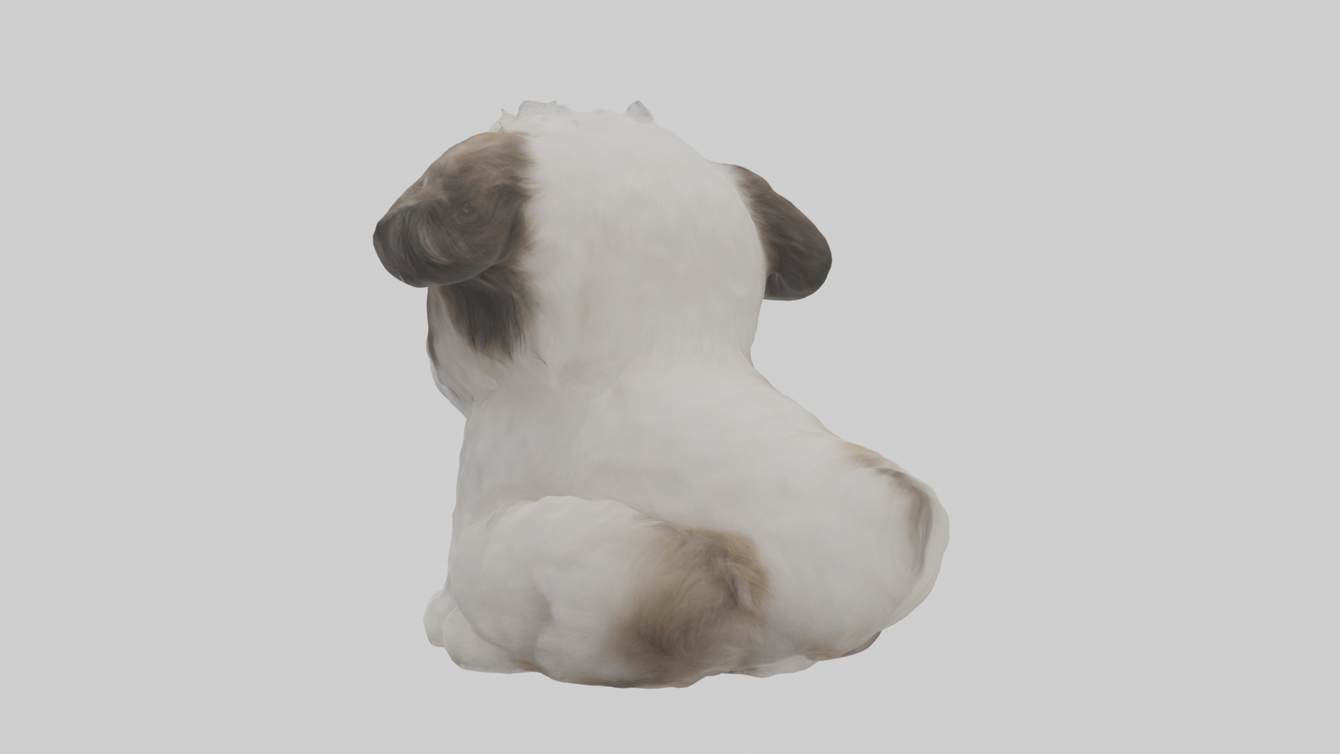 Sitting Shih Tzu model Low-poly 3D model_3