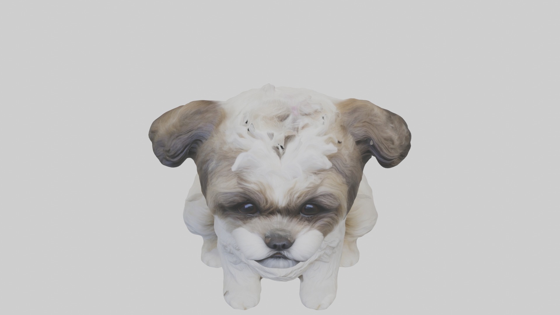 Sitting Shih Tzu model Low-poly 3D model_10