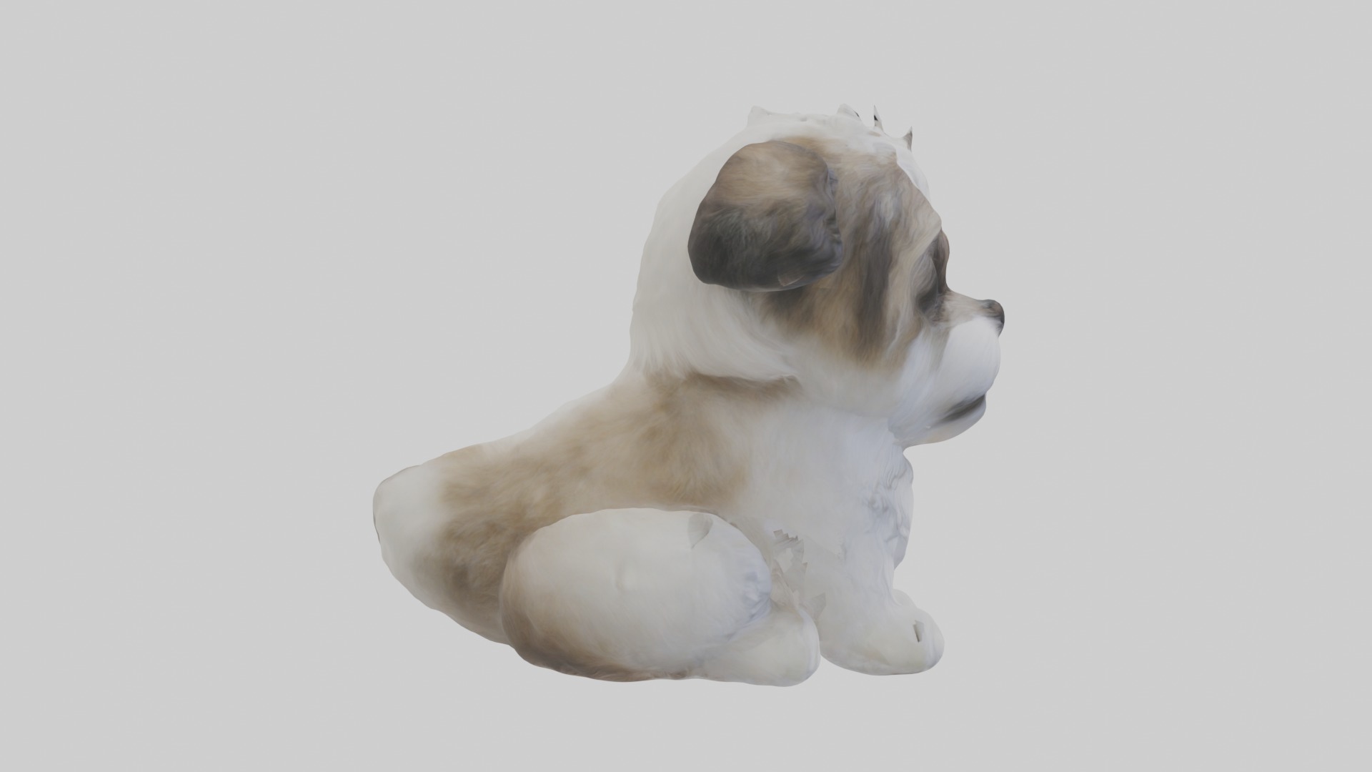 Sitting Shih Tzu model Low-poly 3D model_7