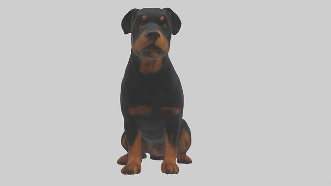 Sitting Rottweiler model Low-poly 3D model