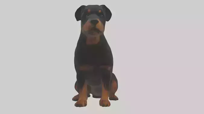 Sitting Rottweiler model Low-poly 3D model