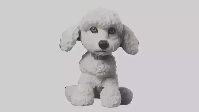 Sitting Poodle model