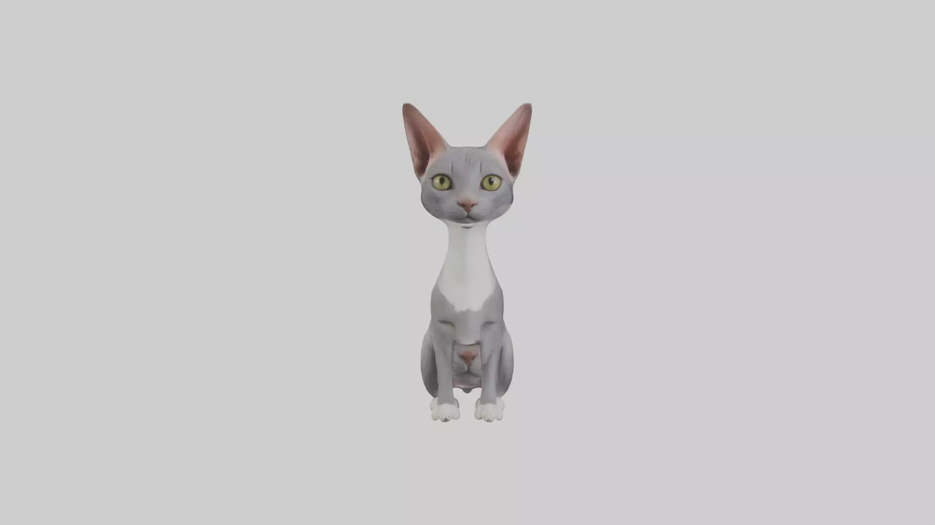 Sitting Oriental Shorthair Cat model Low-poly 3D model_0