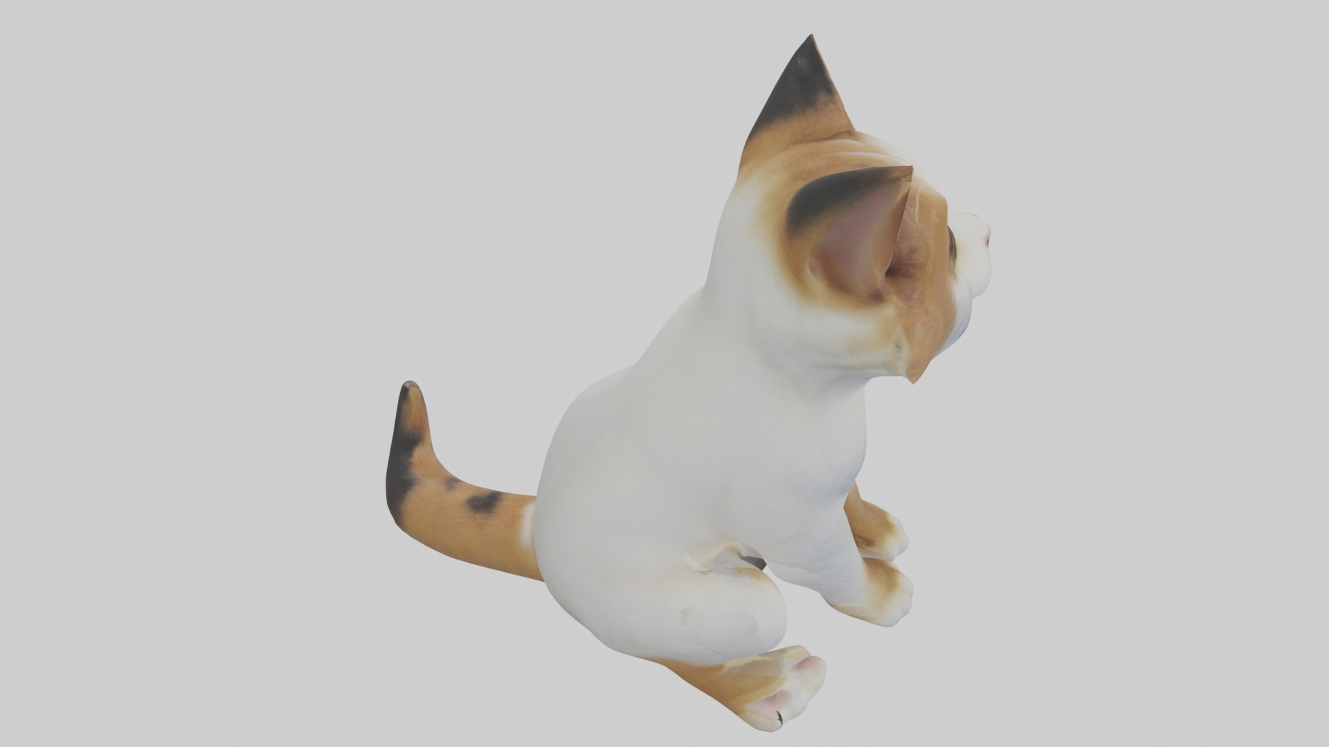 Sitting Manx Cat model Low-poly 3D model_12
