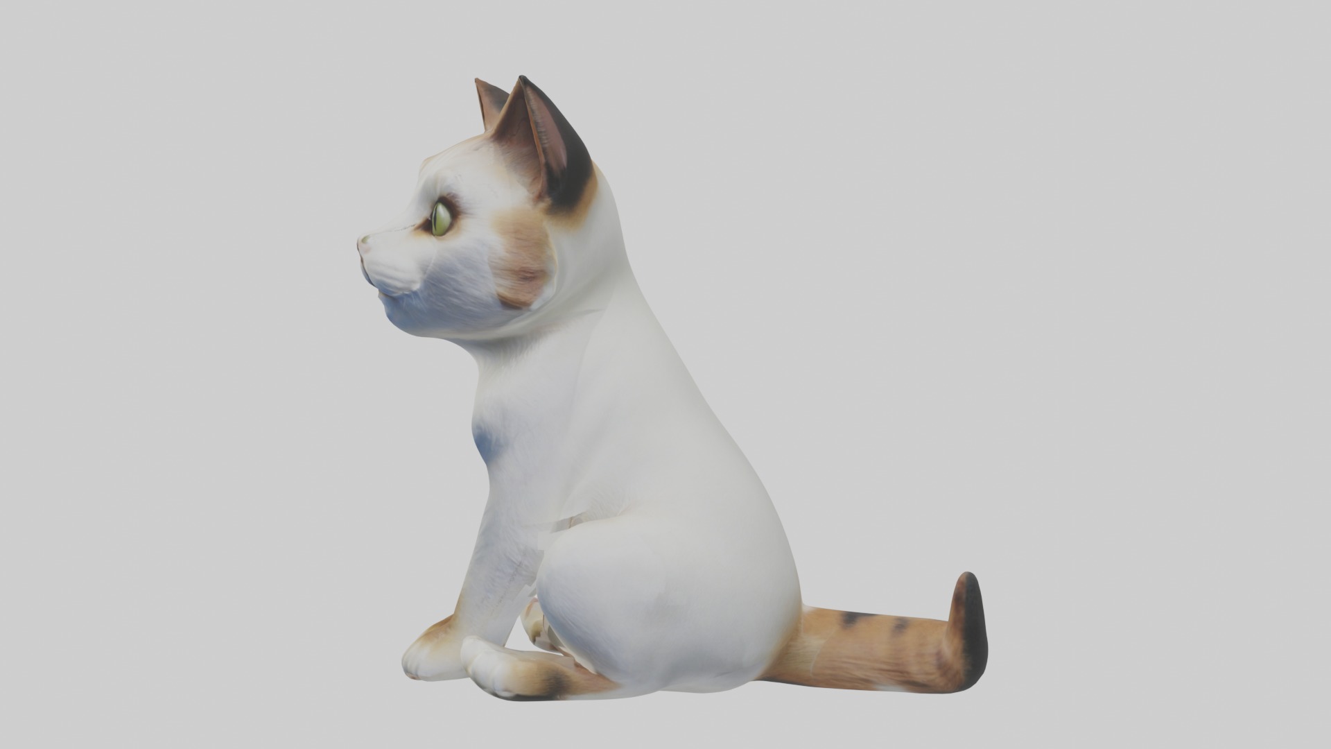 Sitting Manx Cat model Low-poly 3D model_6