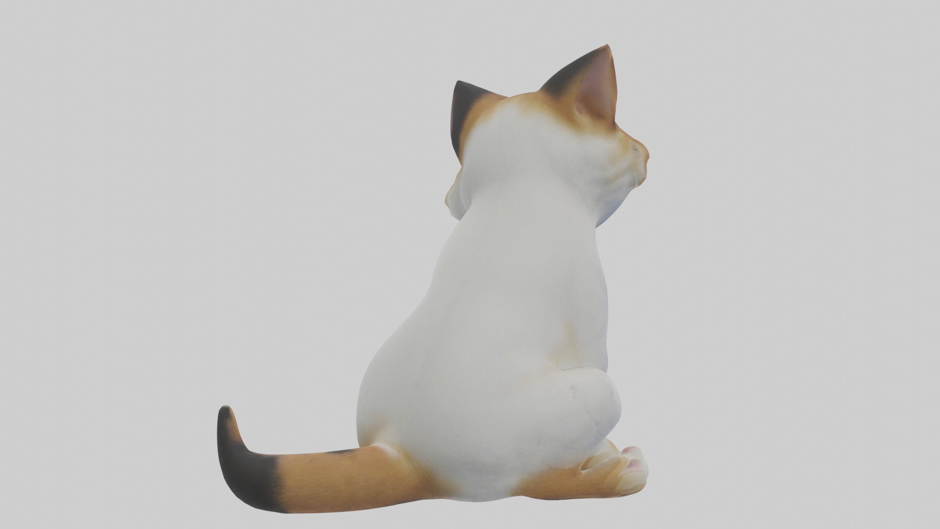 Sitting Manx Cat model Low-poly 3D model_4