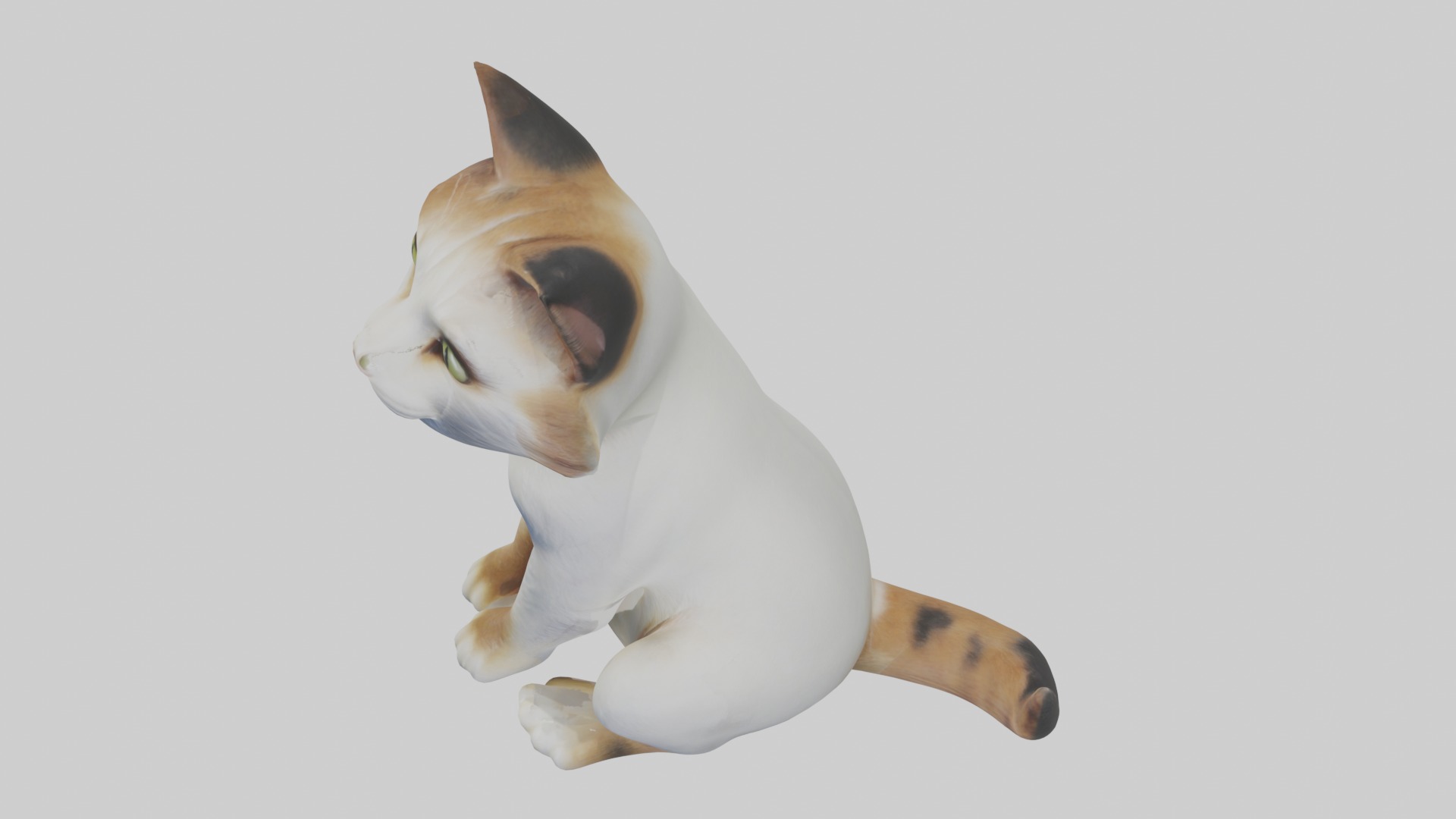 Sitting Manx Cat model Low-poly 3D model_11