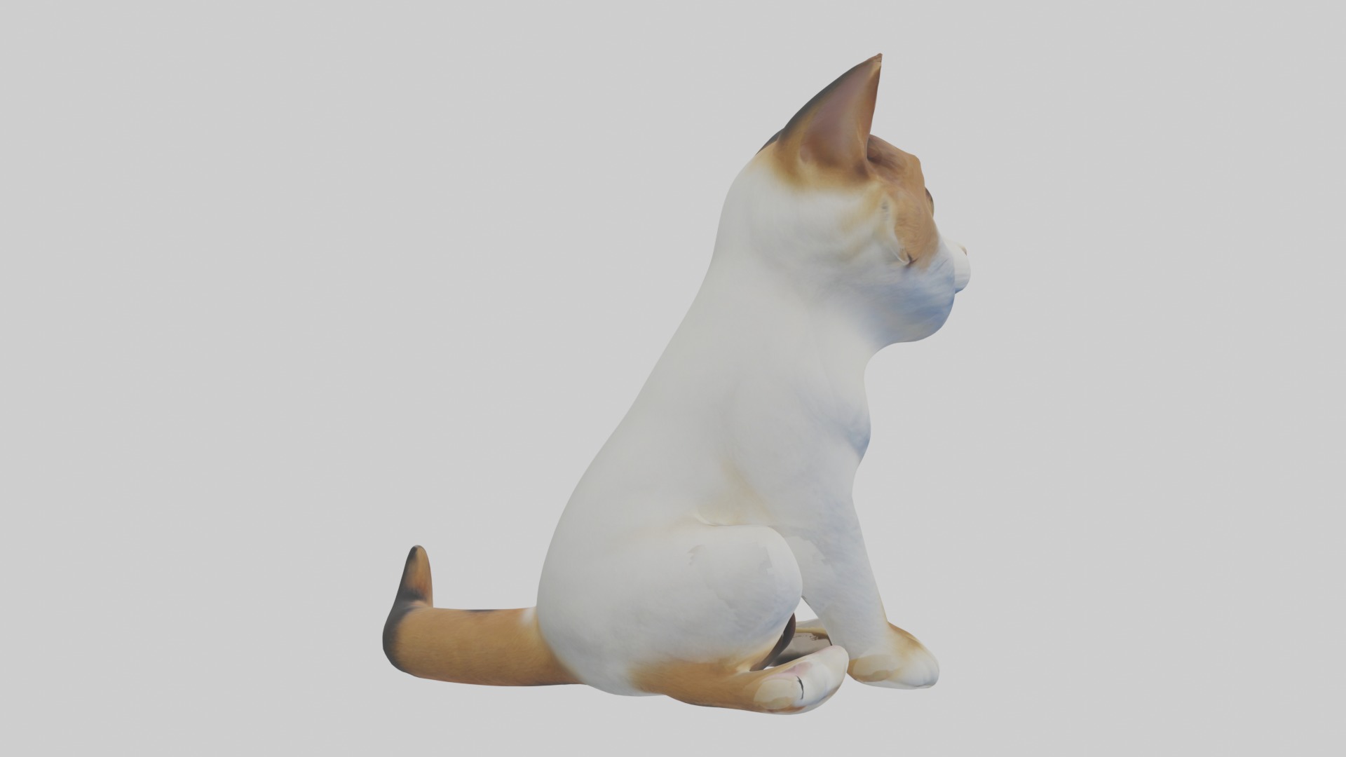 Sitting Manx Cat model Low-poly 3D model_7