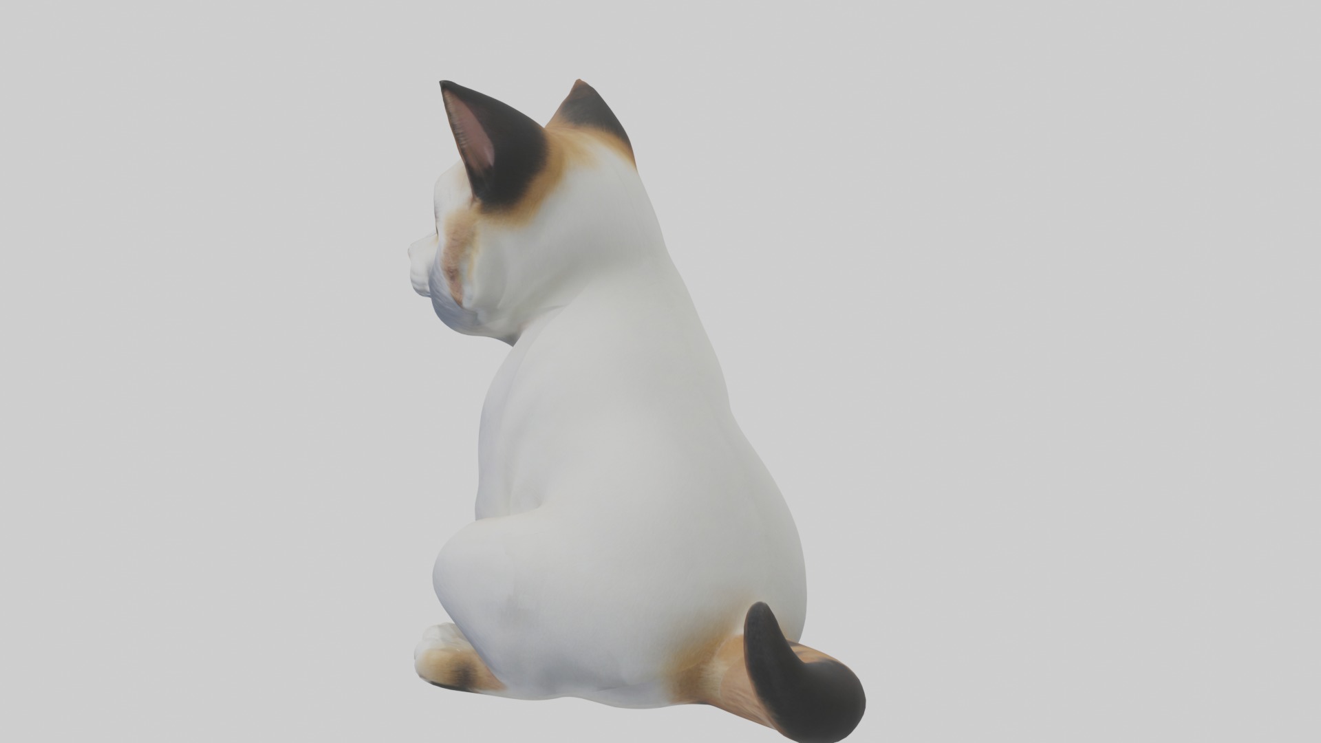 Sitting Manx Cat model Low-poly 3D model_3