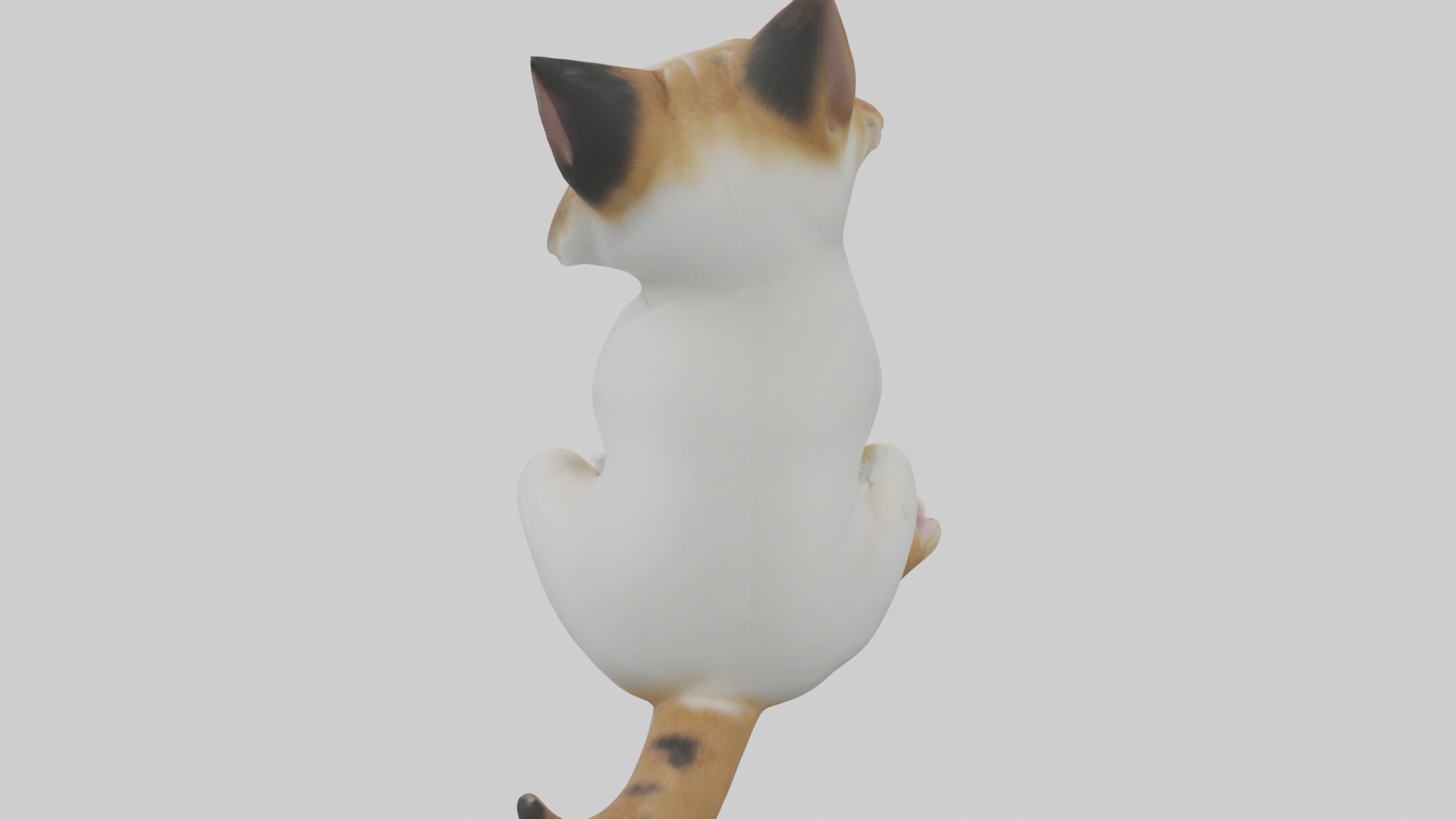 Sitting Manx Cat model Low-poly 3D model_9