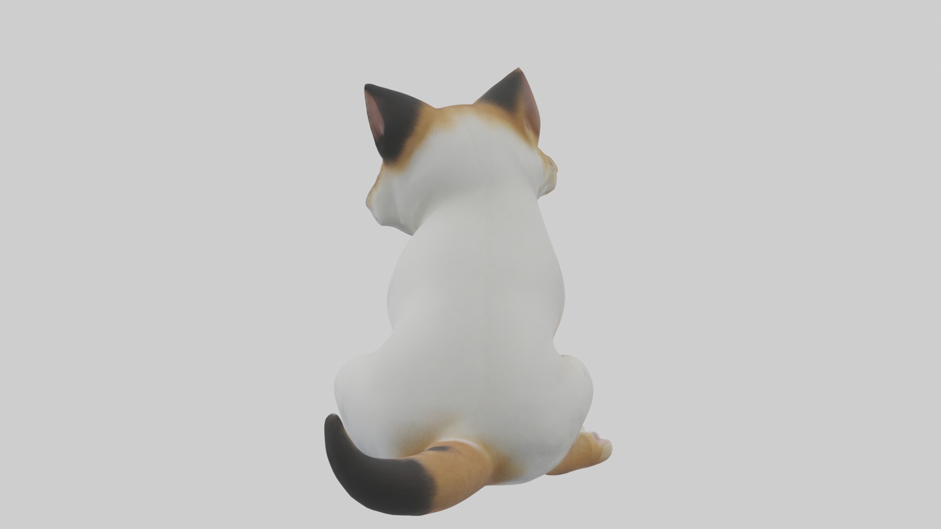 Sitting Manx Cat model Low-poly 3D model_2