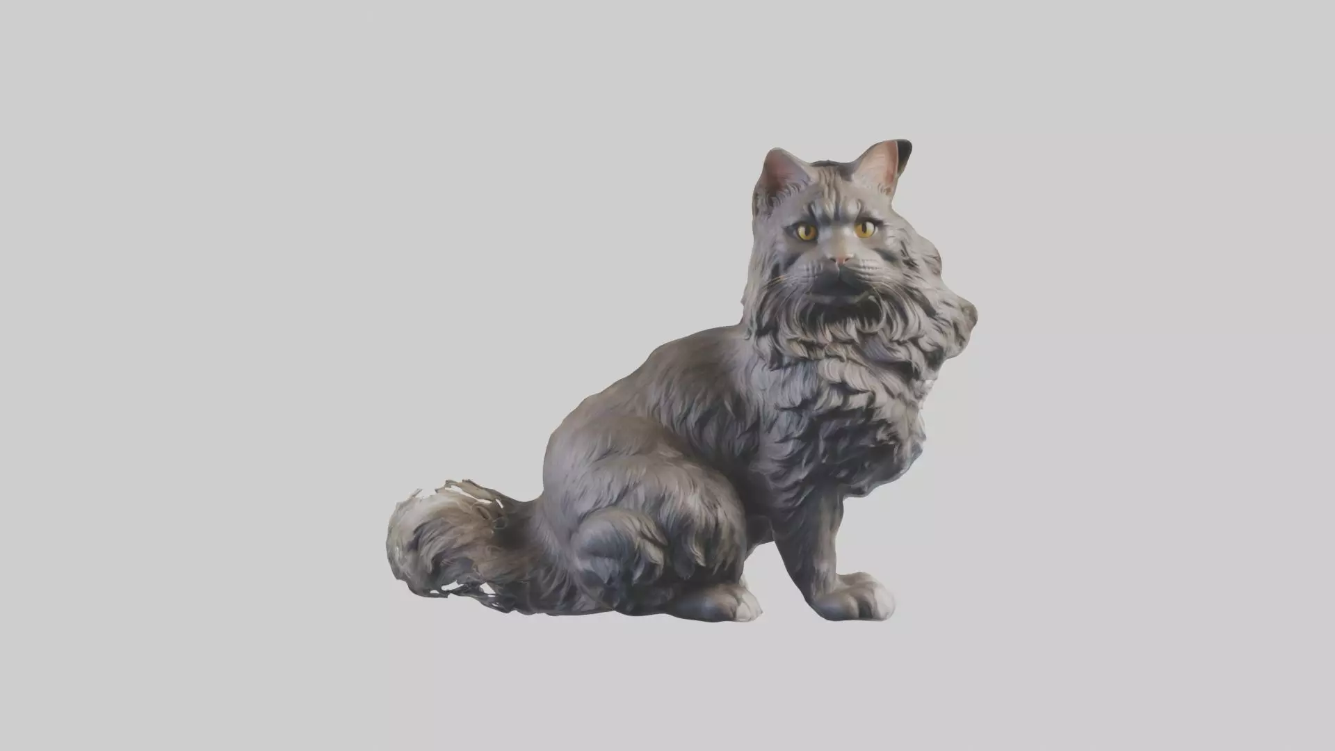 Sitting Maine Coon Cat model Low-poly 3D model_0