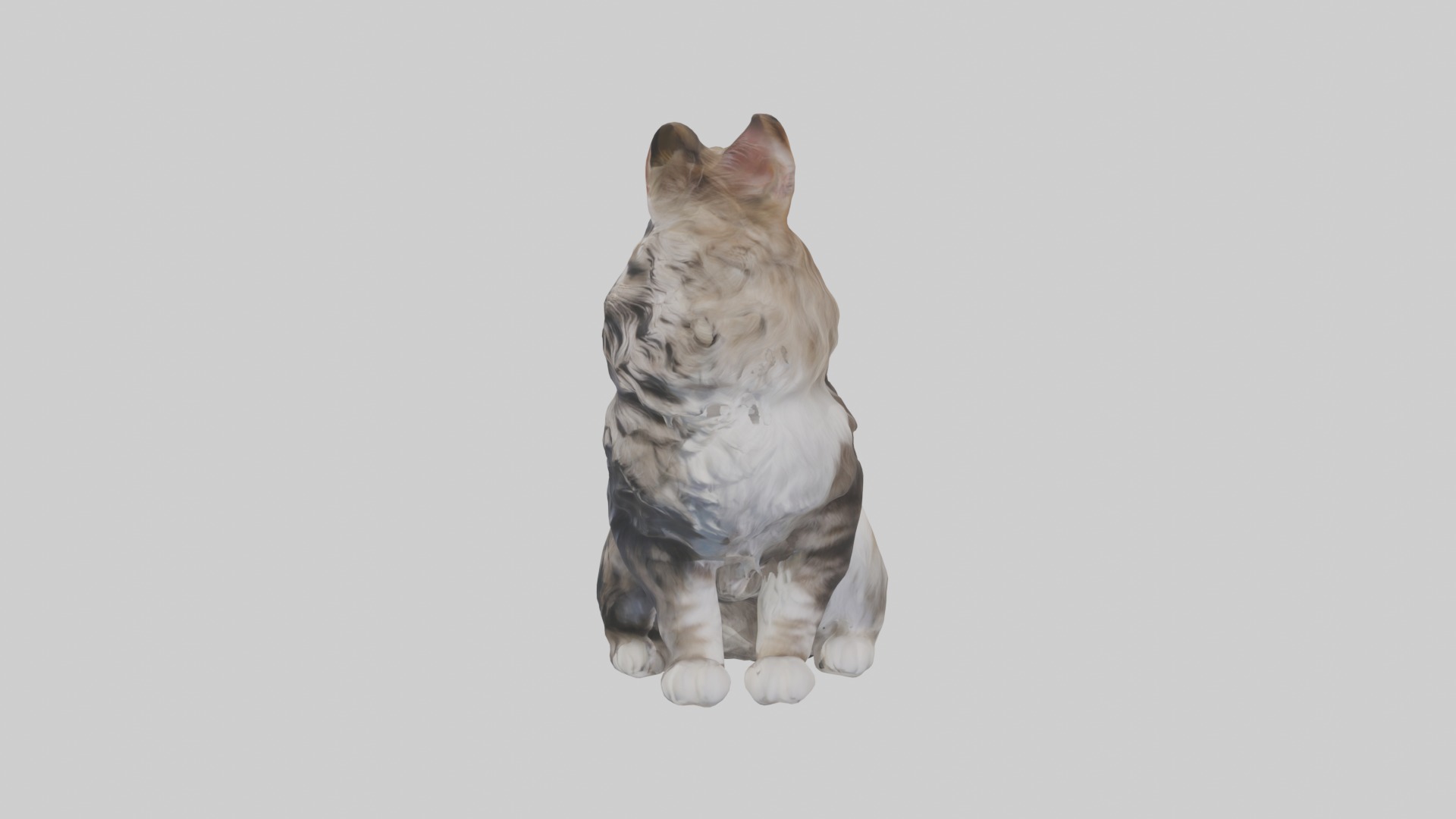 Sitting Maine Coon Cat model Low-poly 3D model_6