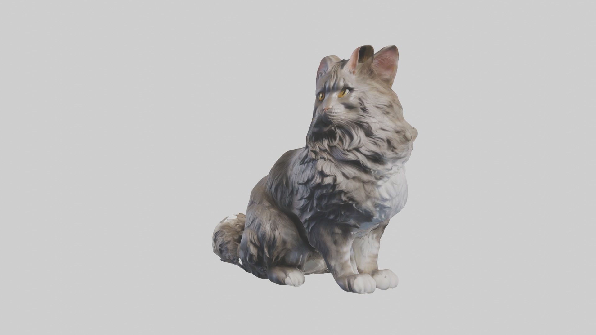 Sitting Maine Coon Cat model Low-poly 3D model_4